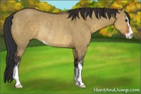Horse Color:Brown Dun Sabino Rabicano 