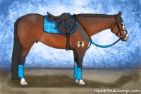 Horse Color:Bay Sabino