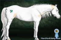 Horse Color:Silver Amber Champagne Pearl Splash Tobiano