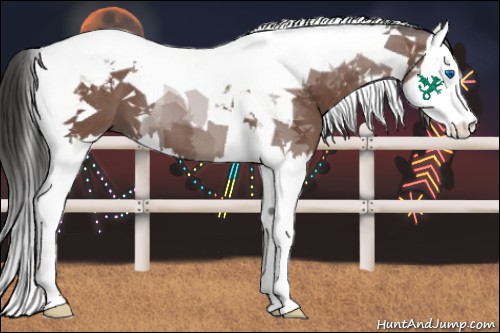 Horse Color:Bay Roan Splash Tobiano