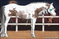 Horse Color:Bay Roan Splash Tobiano 