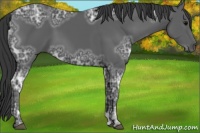 Horse Color:Black Ice 