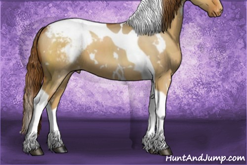 Horse Color:White Spotted Red Dun Tobiano Varnish 