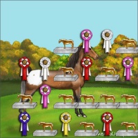 Horse Color:Buckskin Appaloosa