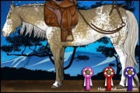 Horse Color:White Spotted Silver Buckskin 