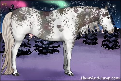 Horse Color:White Spotted Midnight Silver Brown Ice 