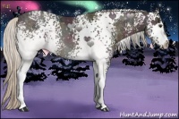Horse Color:White Spotted Midnight Silver Brown Ice