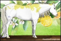Horse Color:Watercolor White Spotted Liver Chestnut Splash 