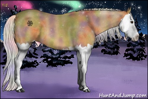 Horse Color:Nacre Silver Buckskin Sabino Splash 