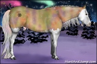 Horse Color:Nacre Silver Buckskin Sabino Splash 