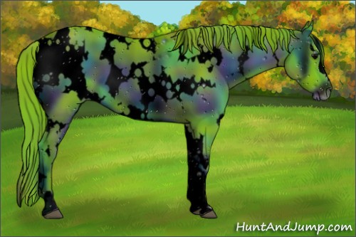 Horse Color:ERROR: UNKNOWN ANOMALY