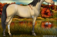 Horse Color:Bay Dun