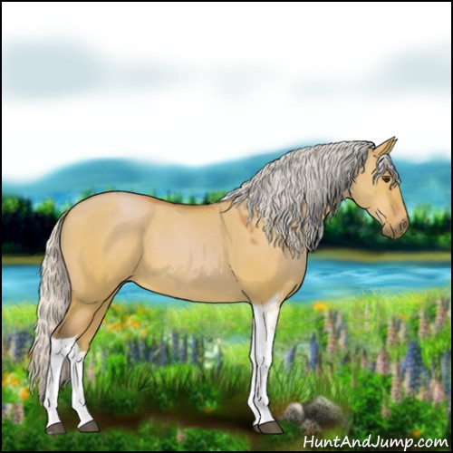 Horse Color:Silver Bay Dun Tobiano 