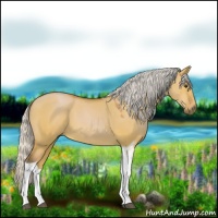 Horse Color:Silver Bay Dun Tobiano 