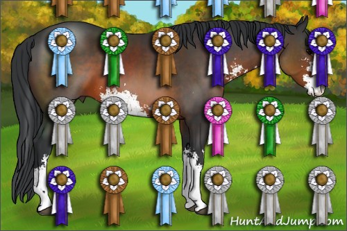 Horse Color:Brown Sabino 