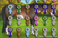 Horse Color:Brown Sabino