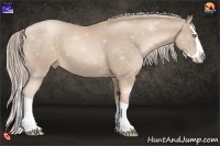Horse Color:Chocolate Palomino Pearl Splash 