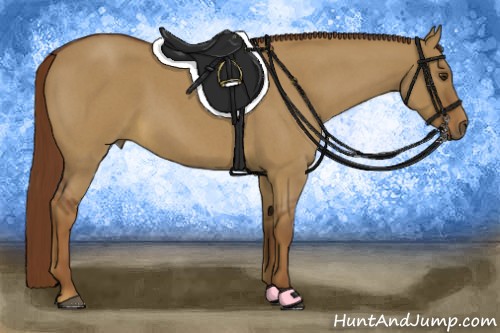 Horse Color:Red Dun Roan 