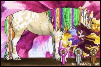 Horse Color:Painted Silver Amber Champagne Ice Roan Dun Splash Appaloosa Rabicano 