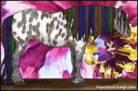 Horse Color:Painted Brown Ice Appaloosa 