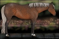 Horse Color:Silver Brown