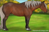 Horse Color:Silver Brown Rabicano 