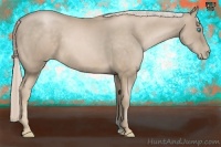 Horse Color:Chocolate Palomino Pearl