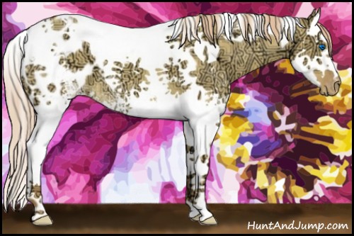 Horse Color:White Spotted Gold Champagne Ice Dun Splash Tobiano Appaloosa