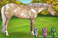 Horse Color:White Spotted Silver Black Pearl