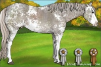 Horse Color:Silver Black Ice Sabino Rabicano 