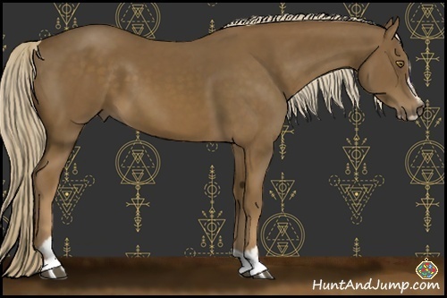 Horse Color:Chocolate Palomino Sabino 