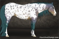 Horse Color:Watercolor Brown Sabino Appaloosa 