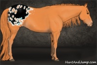 Horse Color:Watercolor Liver Chestnut Sabino Blanket