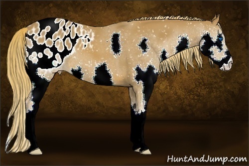 Horse Color:Chestnut Splash Snowflake Varnish