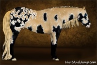 Horse Color:Chestnut Splash Snowflake Varnish