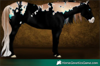 Horse Color:White Spotted Red Onyx Pearl Splash Rabicano 