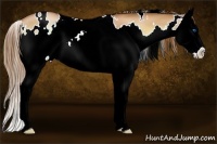 Horse Color:White Spotted Red Onyx Pearl Splash Rabicano 