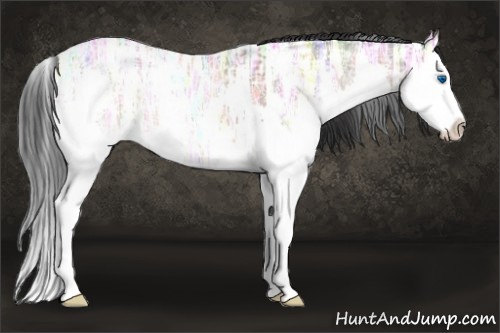 Horse Color:Brown Ice Splash 