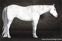 Horse Color:Brown Ice Splash