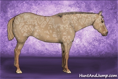 Horse Color:Red Dun Ice 