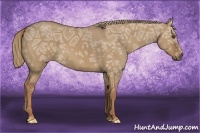 Horse Color:Red Dun Ice 