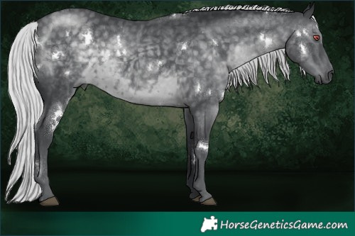Horse Color:White Spotted Silver Black Chinchilla
