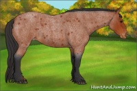 Horse Color:Bay Roan Varnish 