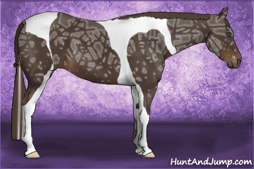 Horse Color:Liver Chestnut Ice Tobiano 