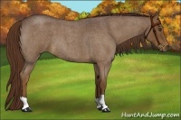 Horse Color:Liver Red Roan 