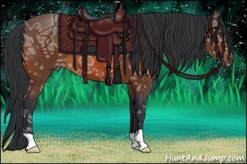 Horse Color:Bay Ice 