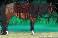 Horse Color:Bay Ice 