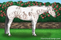 Horse Color:Bay Ice Tobiano and White Spotted Buckskin Ice