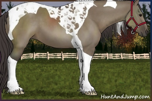 Horse Color:Smoky Grullo Tobiano 