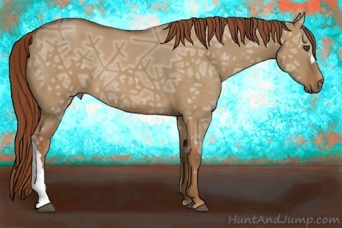 Horse Color:Red Dun Ice